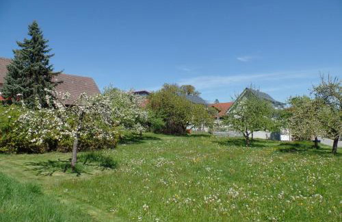 Ferienwohnung Igel - Photo 9