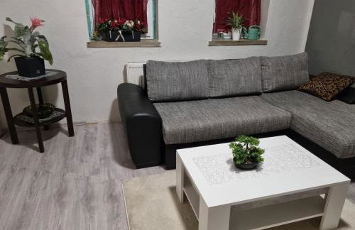 Gästewohnung Plötzky - Foto 13