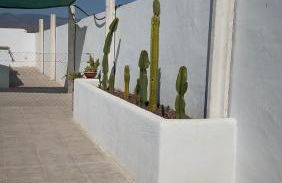 Oasis Pool in the Desert BBQ and Garden - Foto 6