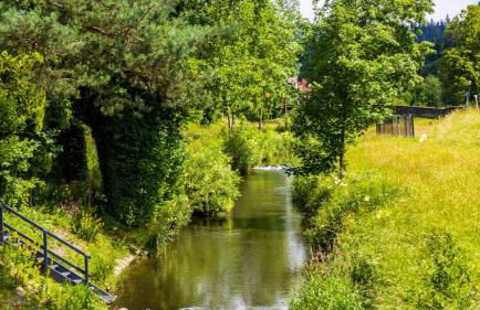 Ferienwohnung an der Wilden Rodach - Foto 22