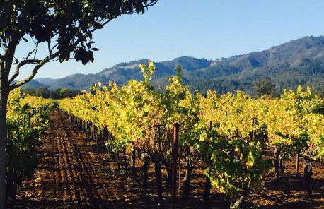 Spacious 4BD 3BA with hot tub, fire pit, and wraparound deck - Foto 40