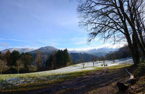 Ferienwohnung Fürstenkopf - Foto 31