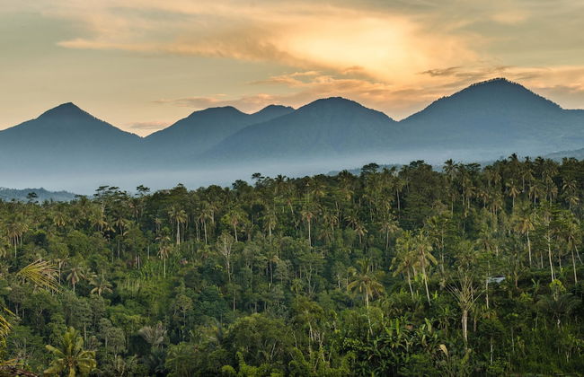 Hillside Eden Bali - Photo 49