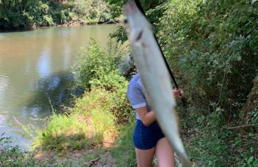 Mas des Anges - Photo 9