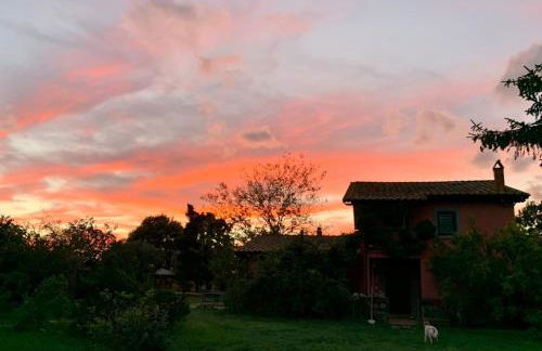 La casa di Francesco Incantevole casale di campagna with pool piscina - Foto 40