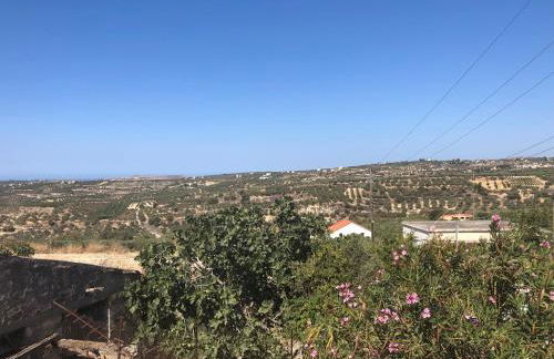 Maravel house - Photo 20