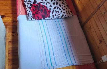 Zofiówka las - Foto 8