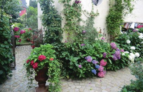 Nice Apartment In Bad Schlema Ot Wildb - Foto 11