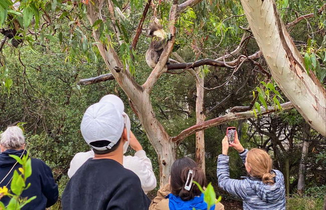 Great Ocean Road Tour - Photo 2