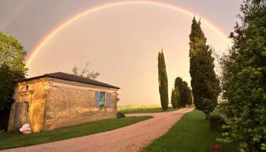 Chapelle Blóm - Photo 5