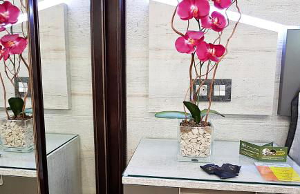 Salamanca Frog - Foto 18