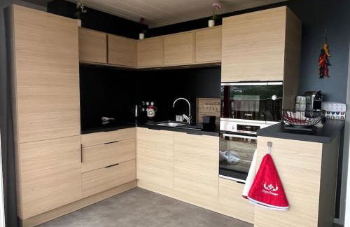 Chalet Eguzkitsua 3 étoiles avec piscine et barbecue - pays basque - - Foto 10