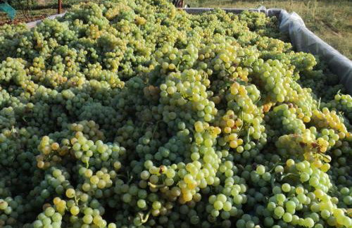 Annamaria Home - Foto 42