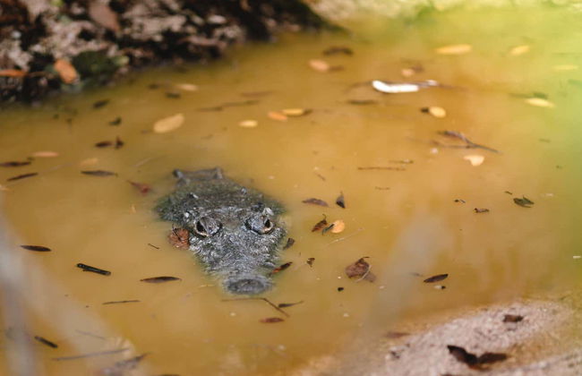 Visita al centro Wotoch Aayin - Foto 4