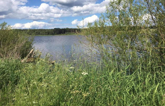 Spacious Holiday Home in Ulmen Near the Centre - Foto 31