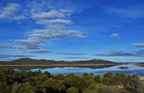 Casa do Avô Tó - Foto 42