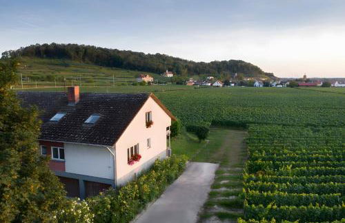 Winzerhof Henkenberg - Foto 1