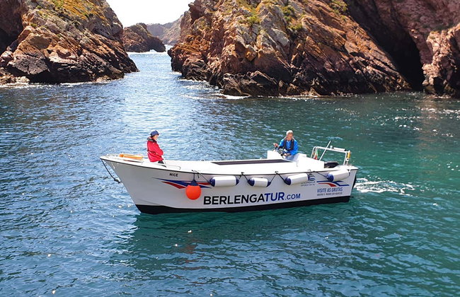 Berlengas Islands & Caves Boat Tour - Photo 8