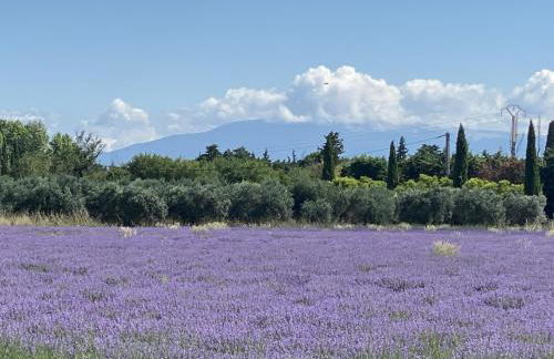 Sejour paisible au Thor - Photo 29