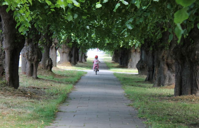 Bungalow Near Baltic Sea - Photo 35