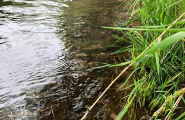 FEWO Unterm Stein - Schneewittchen - 2 Schlafzimmer - Foto 15
