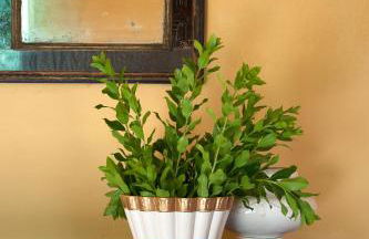 BORGO GIUSTINIANI Mora Pero Melo - Foto 65