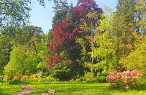 Garden view beach apartment - Photo 44