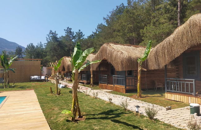 Pine Village Bungalows Ölüdeniz - Foto 2