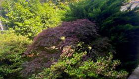 Casa Blue lake - Foto 5, Garden