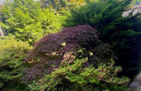 Casa Blue lake - Foto 5