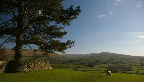 Cissy's Cottage - Foto 3