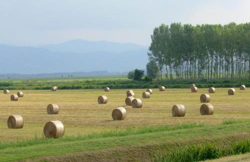 Sunlit Home With Pool - Foto 48