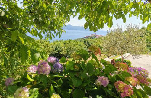 Apartman MARIJETA - Foto 54