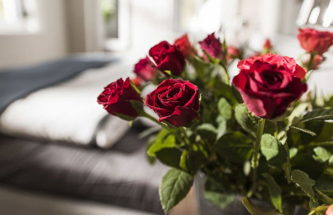 Kamphof Usedom Ferienanlage - Foto 16