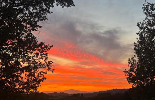 Villa FARFA - Foto 18