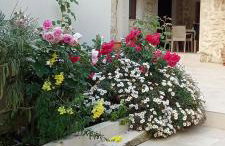 Kalomiris Thea Suite - Foto 20