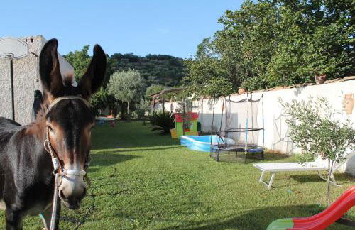 Casa Vacanze Borgo Borghese - Foto 11