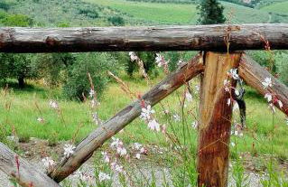 La Fornella dell'Anita - Foto 28