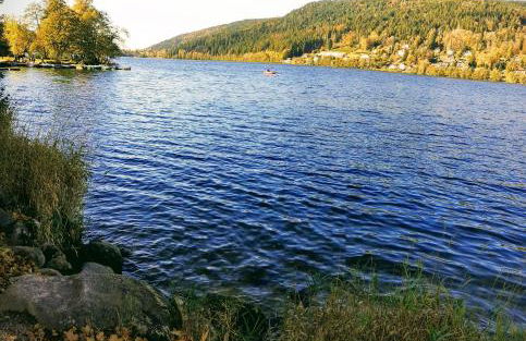 Gite châlet nature haute vosges - Foto 45