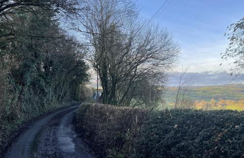 Upper Gelli Luxury Holiday Lodge, Converted Dairy & Cosy Shepherds Huts - Photo 16