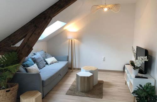 Chez Gustave charmant T2, 4 min place Ducale - Foto 22