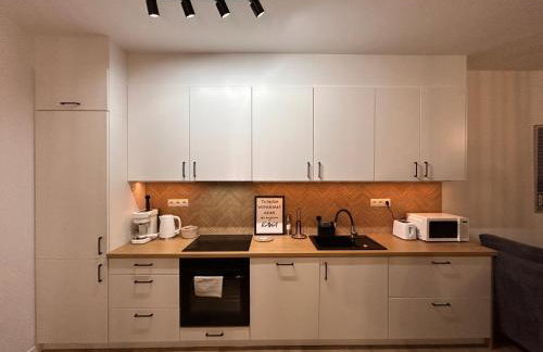 BoleslaviaApartments - Apartament Merci 2, parking free, air conditioning - Foto 8