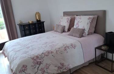 Camélia Plein Soleil Bord de Plage - Photo 12