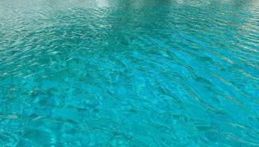 Donna Franca - Foto 4