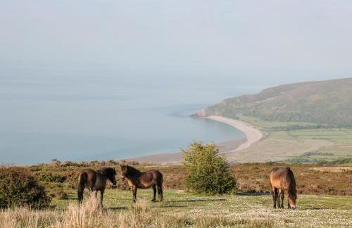 The Old Thatch - Foto 30