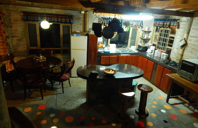 Dogs and Fish Dream Land - Foto 6