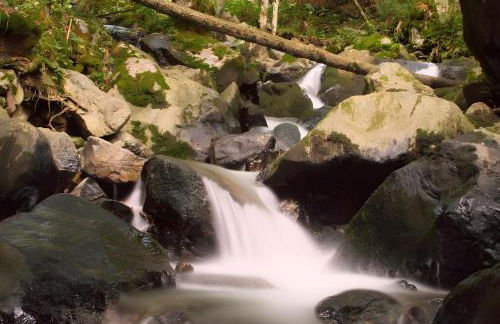 Altvogtshof - Foto 17