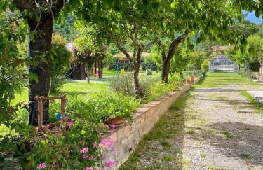 Domus Laetitiae Santa Croce - Foto 44