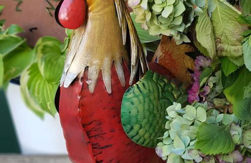 Ferienwohnungen Warnken - Foto 27