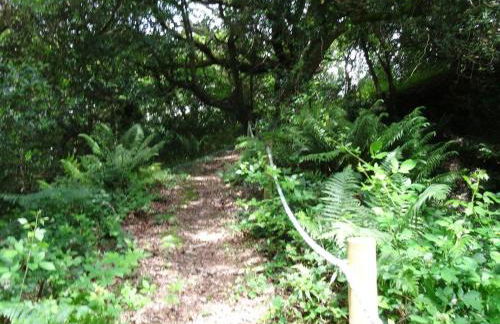 Badger Cottage - Foto 24